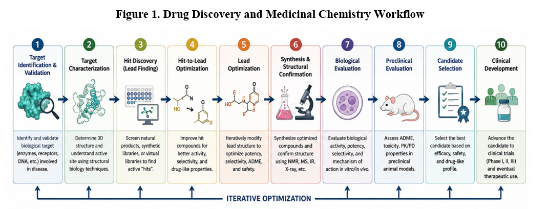 Drug Discovery and Medicinal Chemistry Workflow: Target Identification and Validation, Target Characterization, Hit Discovery, Hit-to-Lead Optimization, Lead Optimization, Synthesis and Structural Confirmation, Biological Evaluation, Preclinical Evaluation, Candidate Selection, and Clinical Development